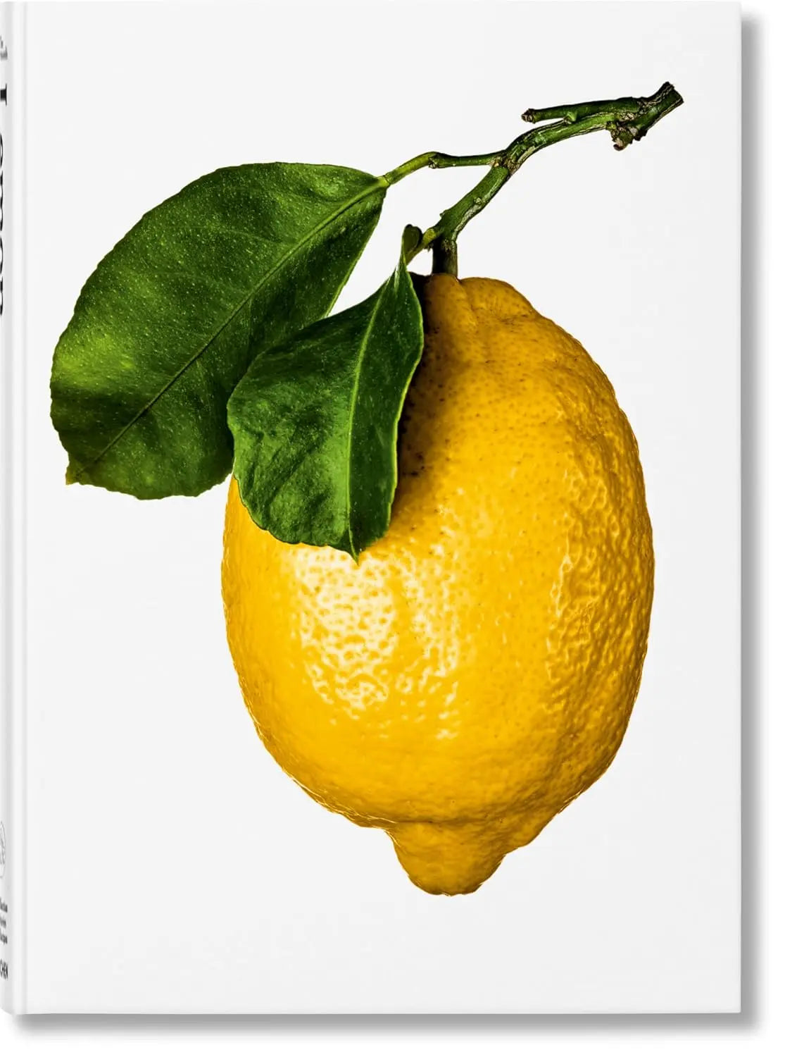Book Lemon by Taschen Eichholtz by IdHouse