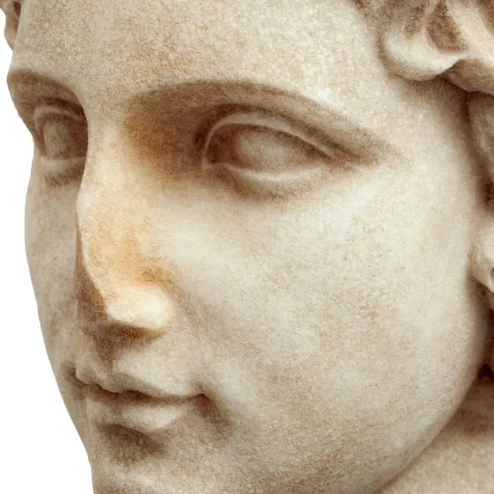 Bust of a youth Eichholtz