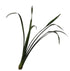 CYMBIDIUM LEAF GREEN 104 cm Silk-Ka