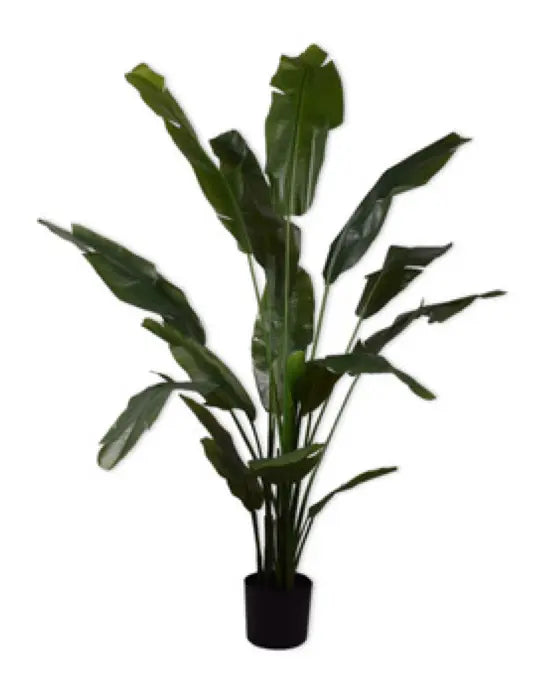 STRELITZIA GREEN 180 cm Silk-Ka