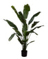 STRELITZIA GREEN 180 cm Silk-Ka