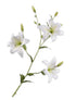 LILY SPRAY WHITE 132 cm Silk-Ka