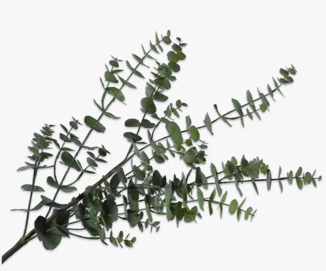 Eucalyptus Spray Green 111 cm Silk-Ka
