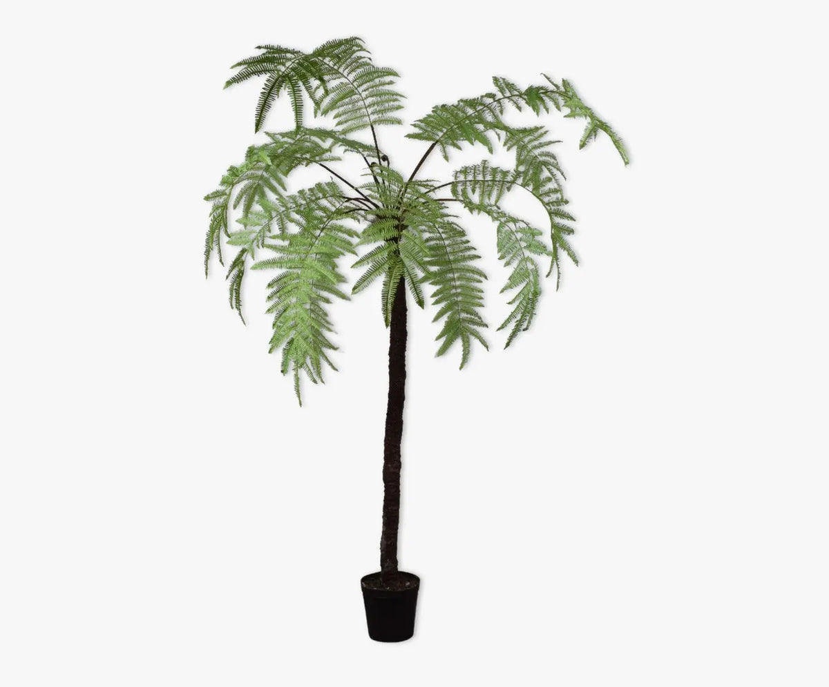 Fern Green 246 cm Silk-Ka