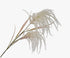 Grass Plume Beige 137 cm Silk-Ka