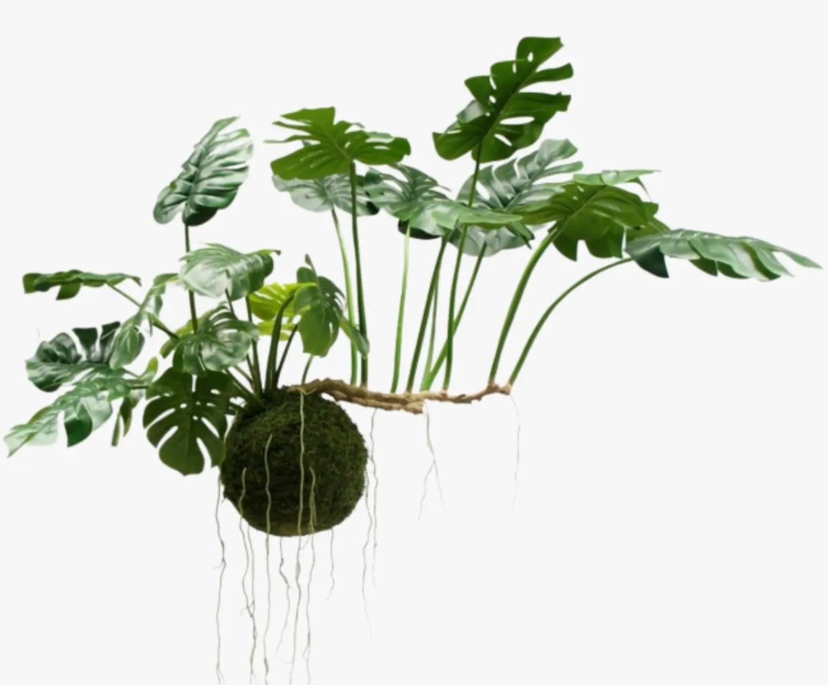 Monstera Hang Green 80 cm Silk-Ka