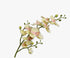 Phalaenopsis Spray GRN LT 89 cm Silk-Ka