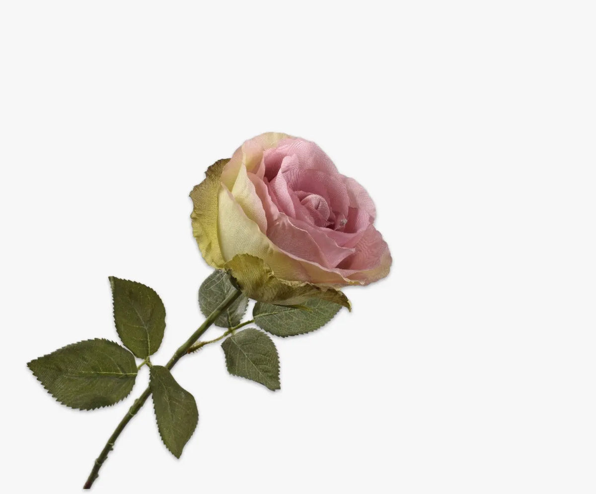 Rose Stem LL/GR 66 cm Silk-Ka