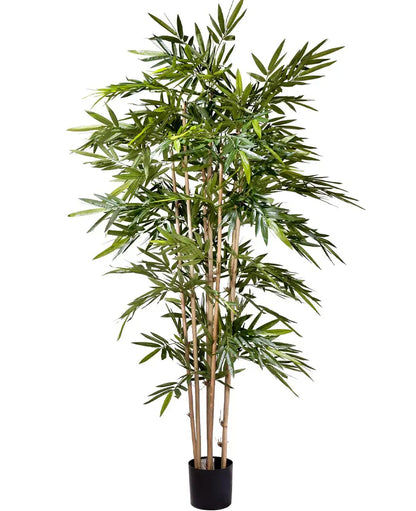 Bamboo Green 183 cm Silk-Ka