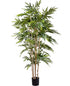 Bamboo Green 183 cm Silk-Ka