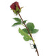 Rose Stem Burgundy 79 cm Silk-Ka