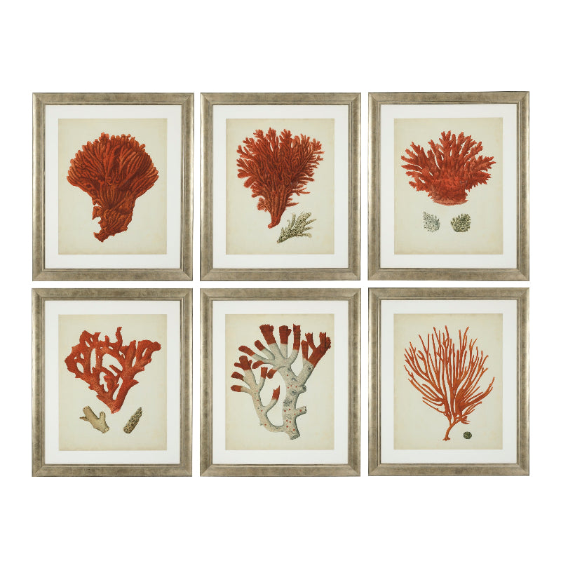 A set of six framed antique red coral prints, arranged in two rows of three, with silver frames and clear glass.