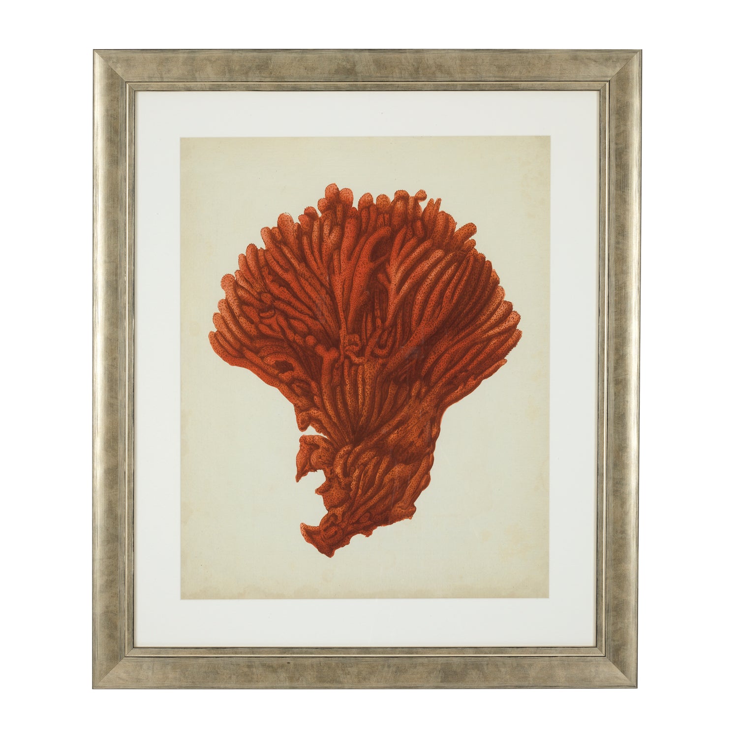 Prints Antique red corals set of 6 *EXPO