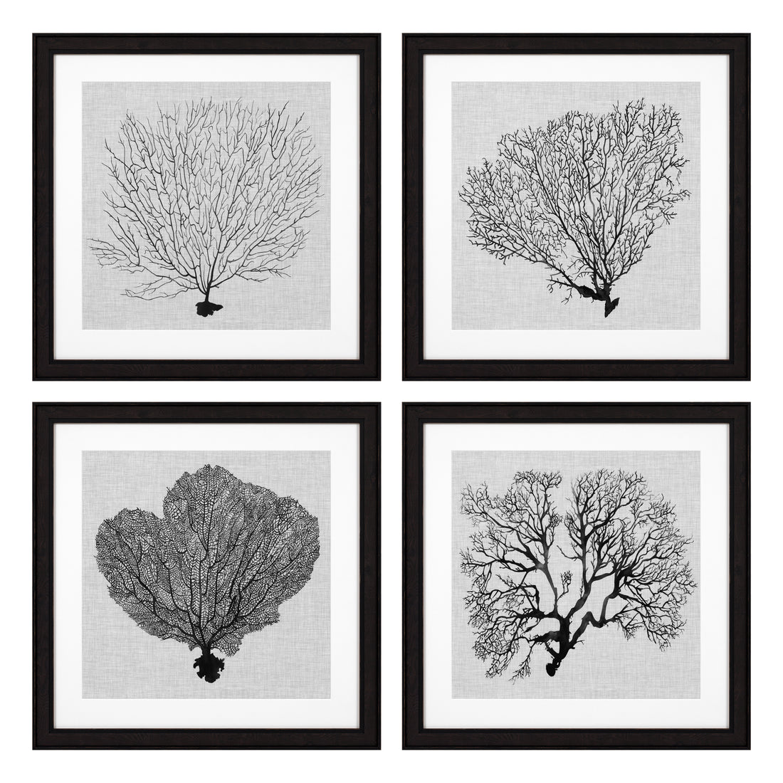 Prints Shadow Sea Fans set of 4 Eichholtz