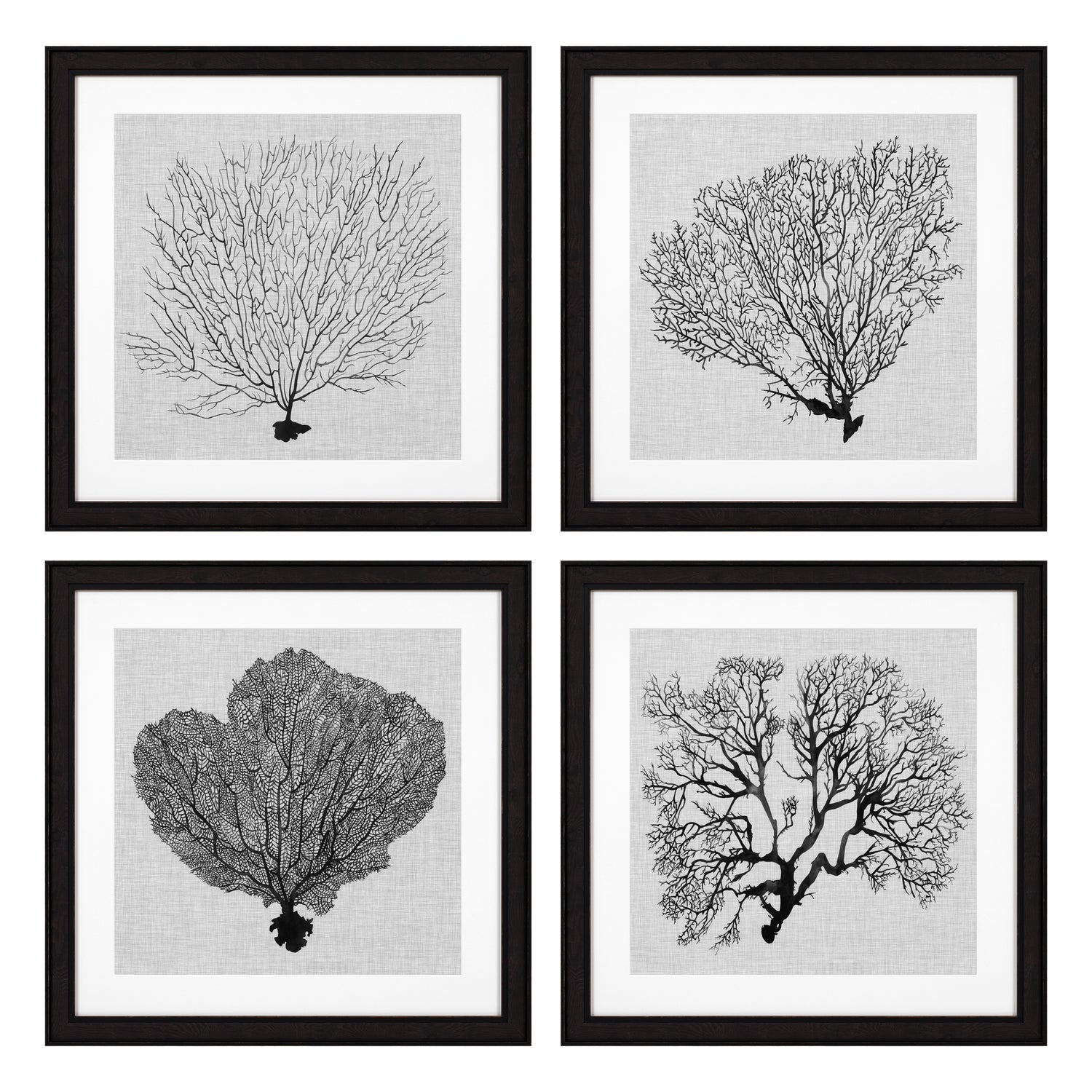 Prints Shadow Sea Fans set of 4