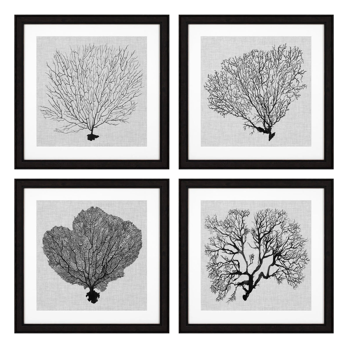 Prints Shadow Sea Fans set of 4 Eichholtz