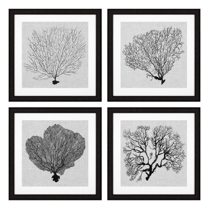 Prints Shadow Sea Fans set of 4