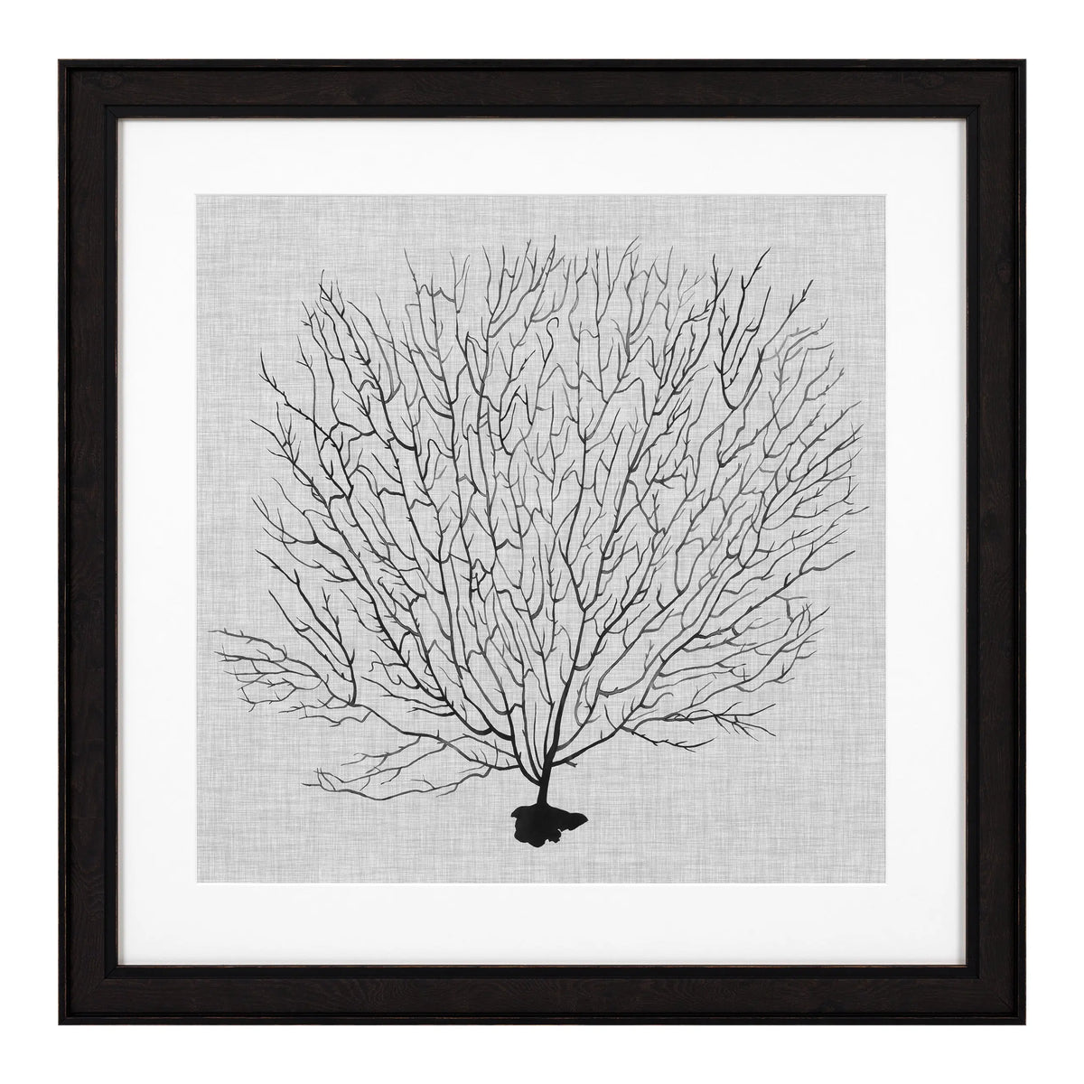 Prints Shadow Sea Fans set of 4 Eichholtz