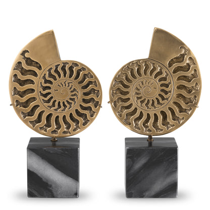 Object Ammonite  Set Of 2