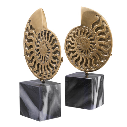 Object Ammonite  Set Of 2