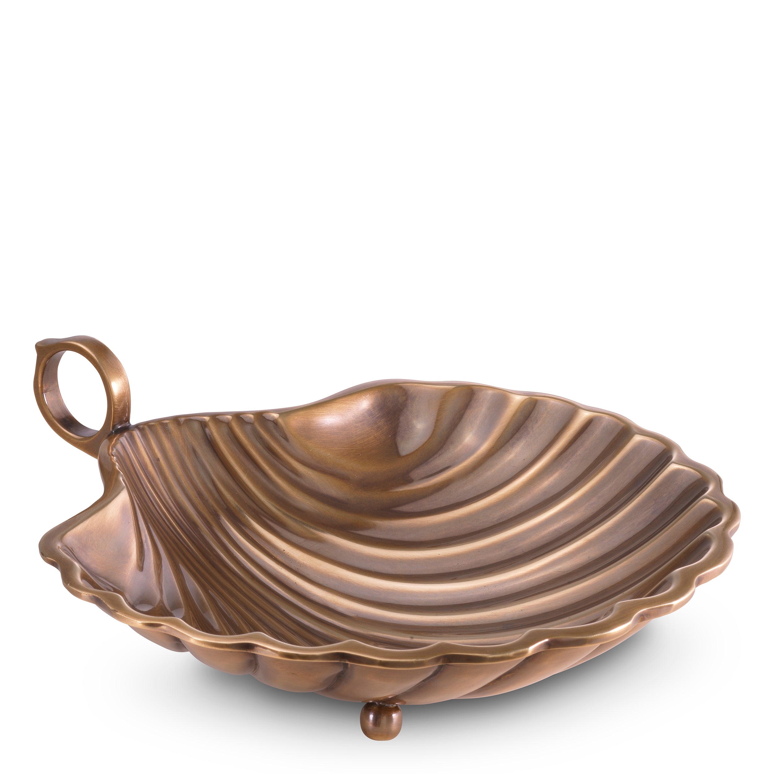 Tray Shell M *EXPO
