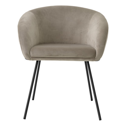 Dining Chair Campus