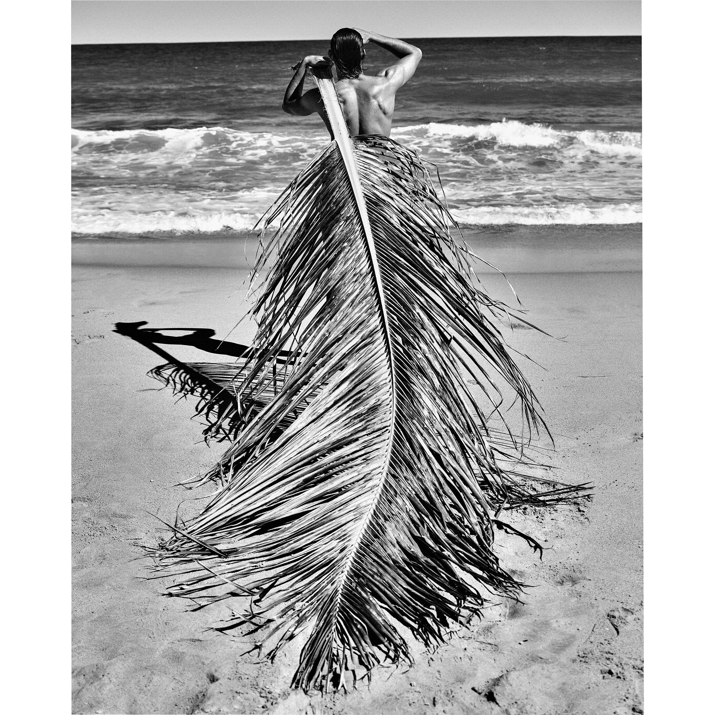Print Philippe Vogelenzang  Salvador